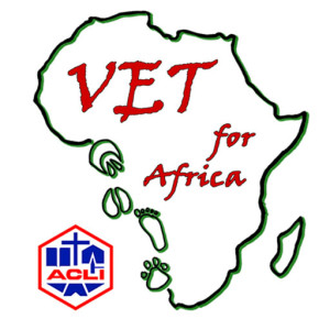 Light Studio